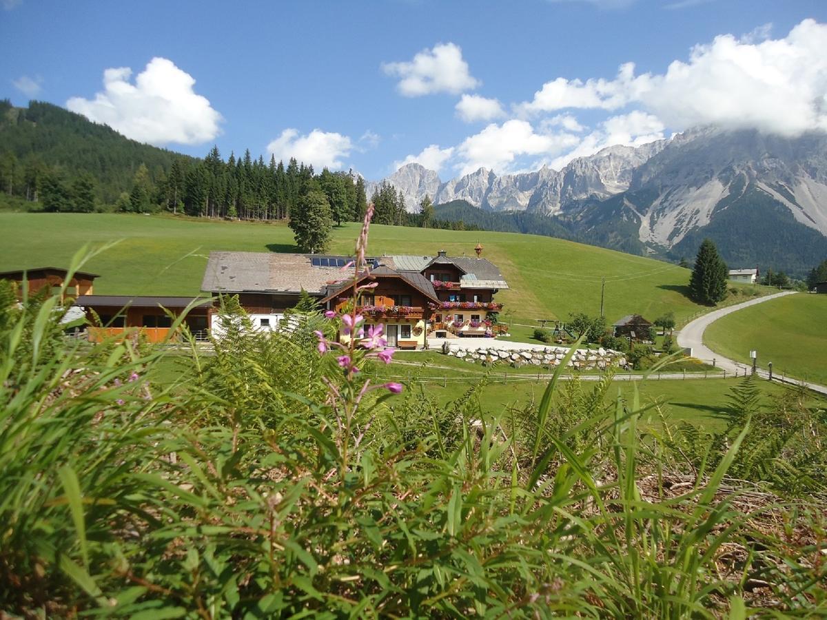 Pension-Greimelbacherhof Рамзау Экстерьер фото